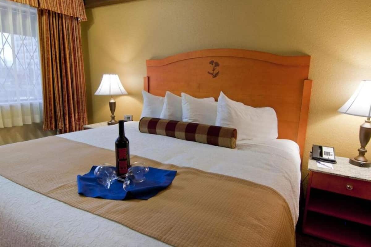 room, 1 queen bed, accessible, non smoking (roll-in shower) | in-room safe, blackout curtains, iron/ironing board, free wifi