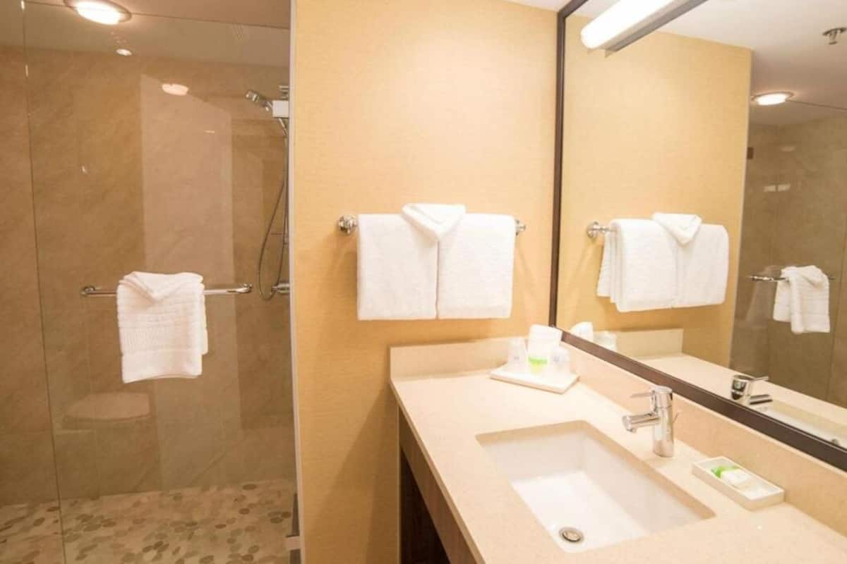 free toiletries, hair dryer, towels