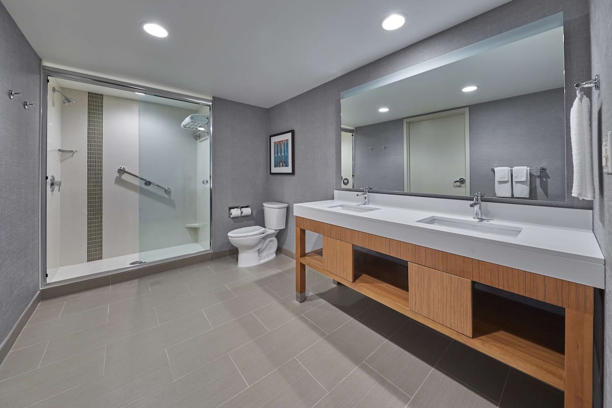 shower, designer toiletries, hair dryer, towels