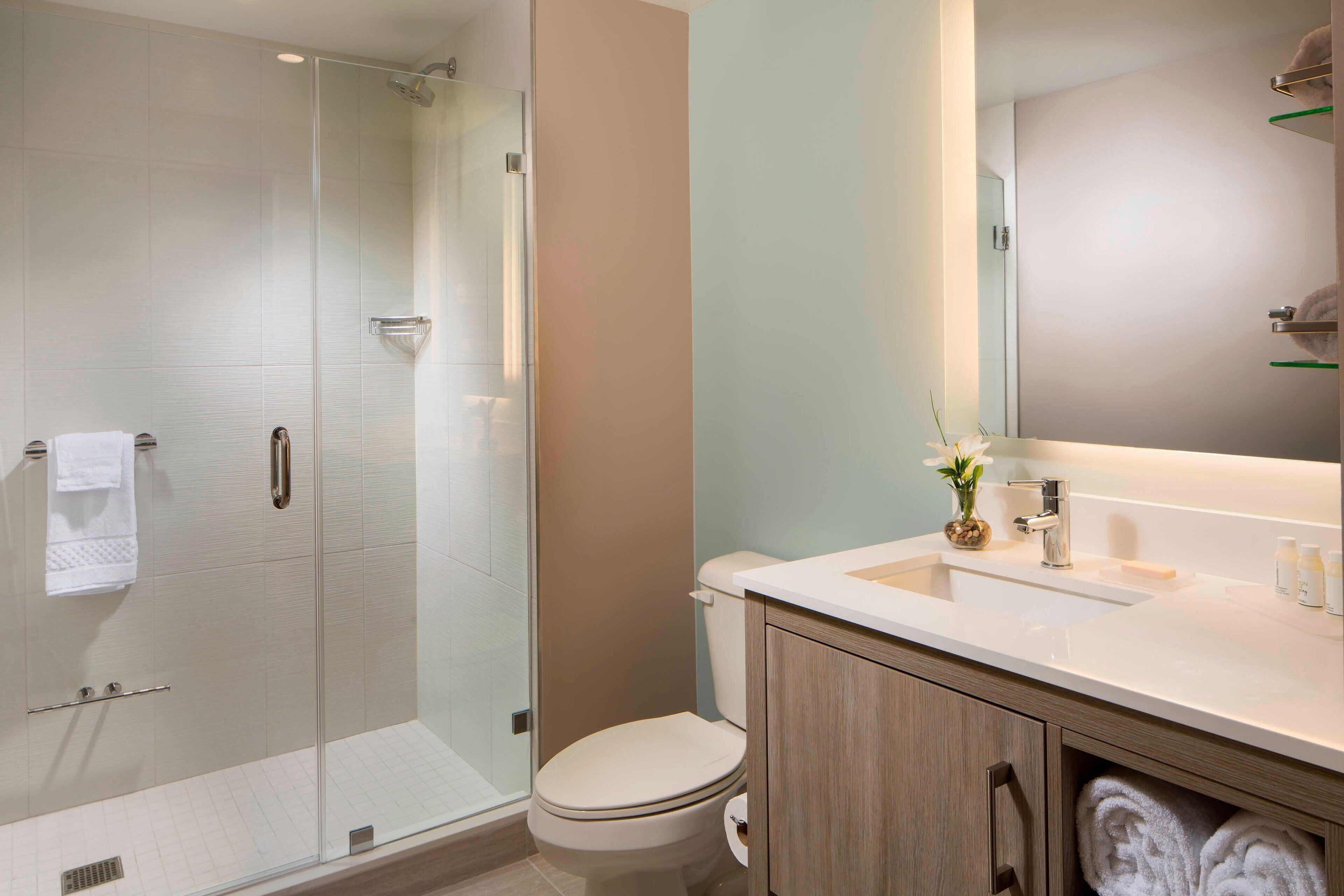 shower, free toiletries, hair dryer, towels