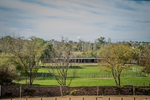 Vista desde la habitación