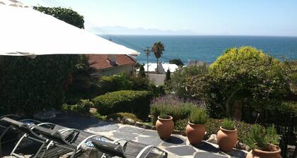 Blue On Blue Bed and Breakfast