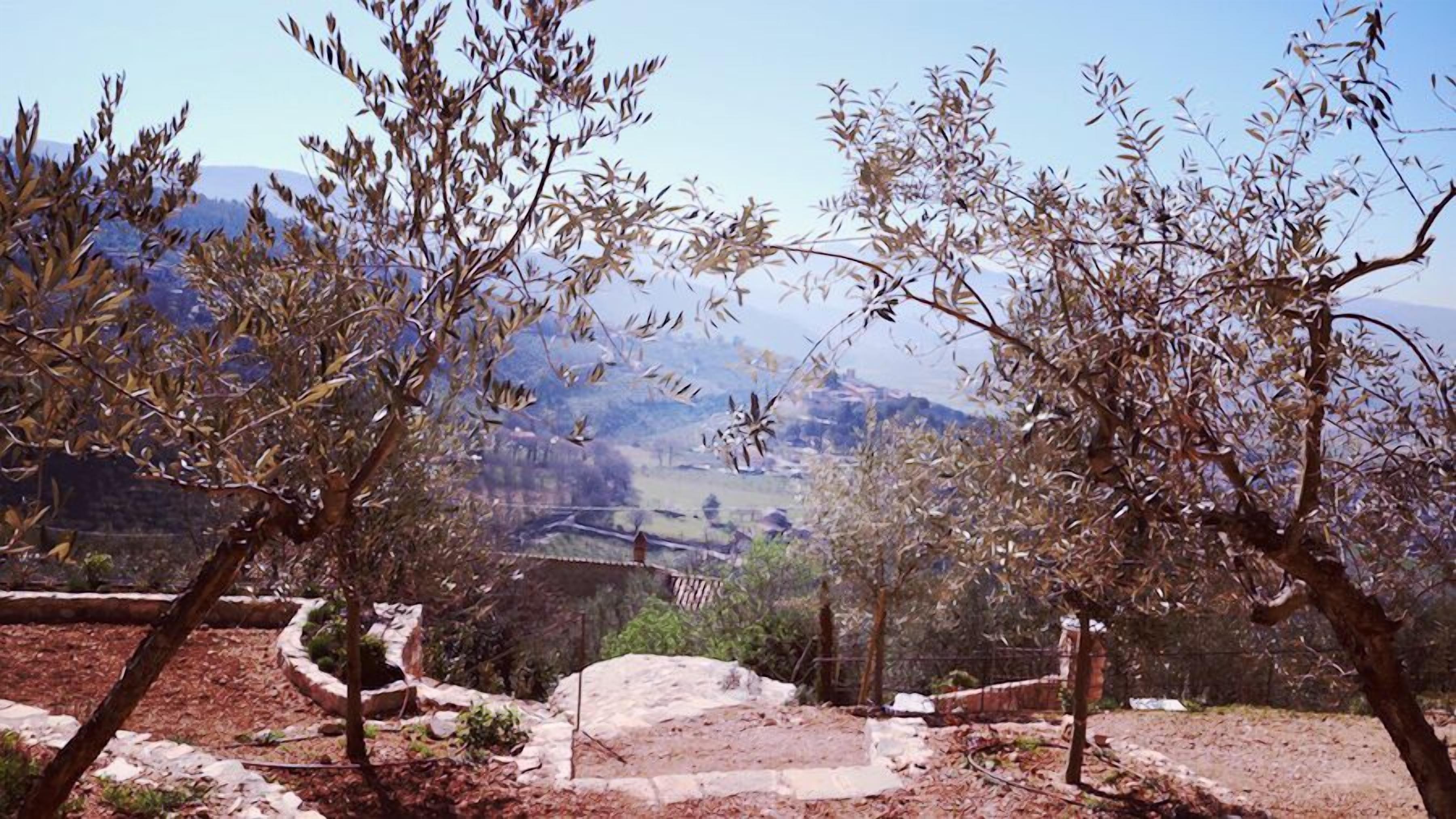 Maison Luxe, 5 chambres | Terrasse/Patio