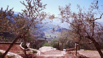 Maison Luxe, 5 chambres | Terrasse/Patio