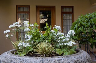 Double Room  | Terrace/patio