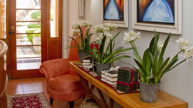 Een gang met een houten deur, een rode vloerkleed, een houten bankje met boeken en plantenpotten, en twee wandelingen met schilderijen.