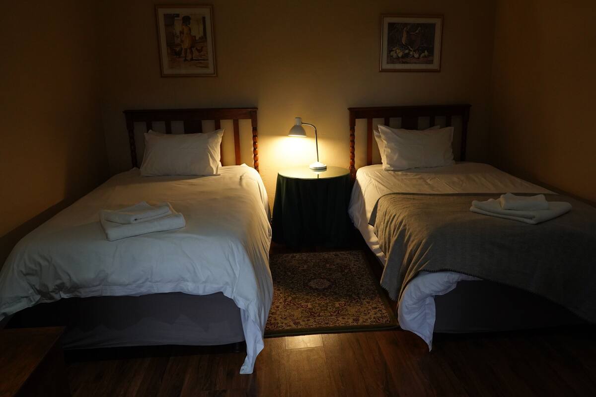 A hotel room with two single beds, a nightstand with a lamp, and a patterned rug.