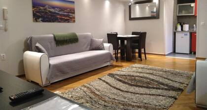 Apartment Dedinje - Free WiFi Free Street Parking - 60 sqm 646 sqft - Entire APT