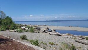 A gravel beach with driftwood and a calm lake. - Island View-Spectacular view of Puget Sound and the Olympic Mountains (Burien)