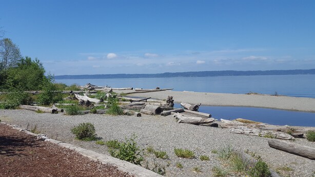Een kiezelstrand met drijfhout en een rustig meer.