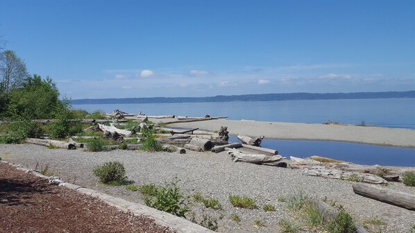Een kiezelstrand met drijfhout en een rustig meer.