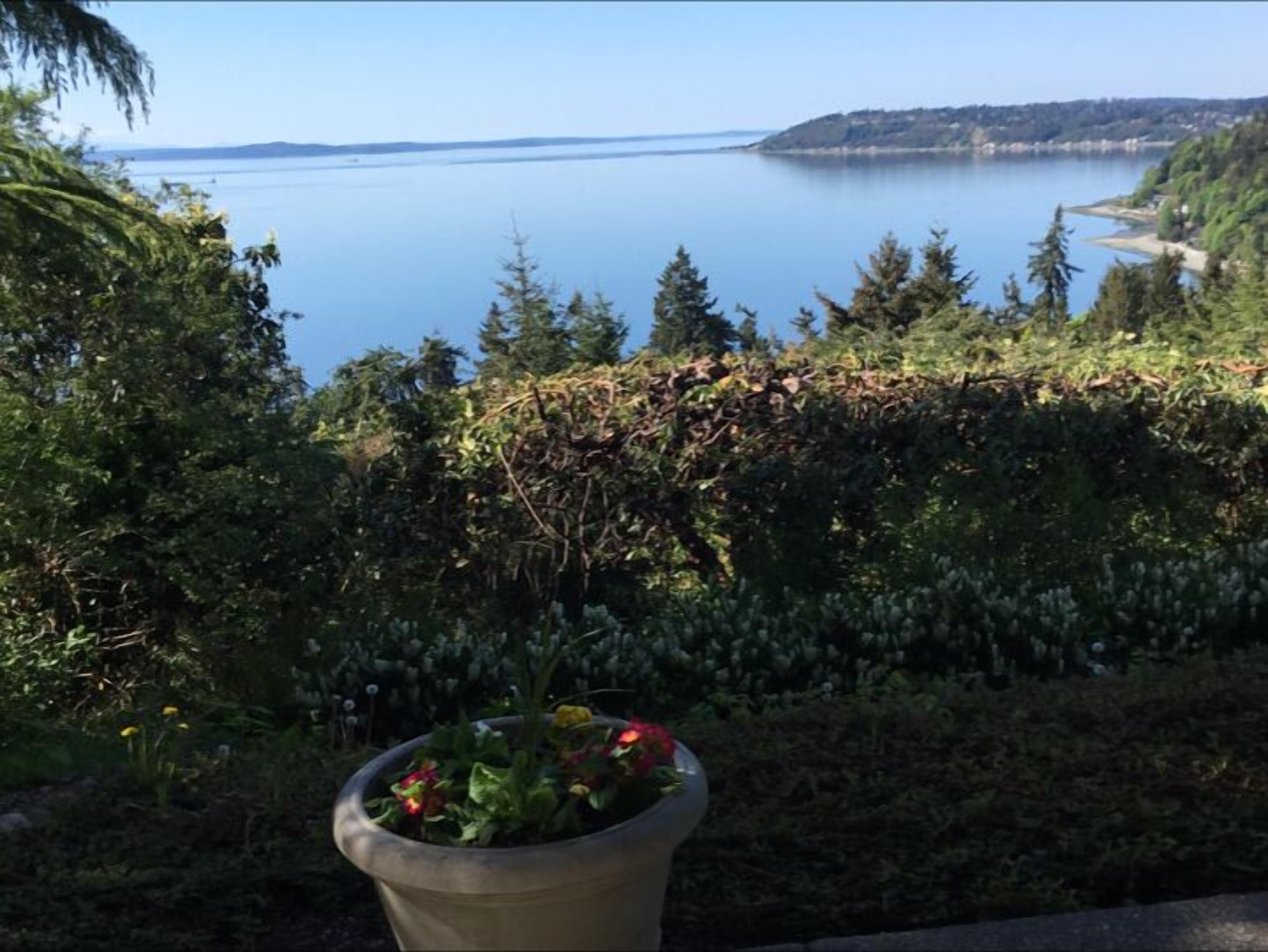 A view of a lake with a distant shoreline, surrounded by dense greenery and a potted plant in the foreground.