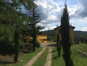 Un paysage rural avec un bâtiment jaune, un chemin de terre et une végétation luxuriante tout autour.