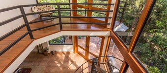 Incredible Tropical Retreat Full of Monkeys, Sloths, Toucans and much more 