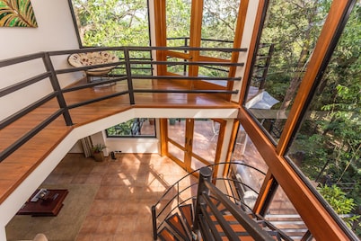 Incredible Tropical Retreat Full of Monkeys, Sloths, Toucans and much more 