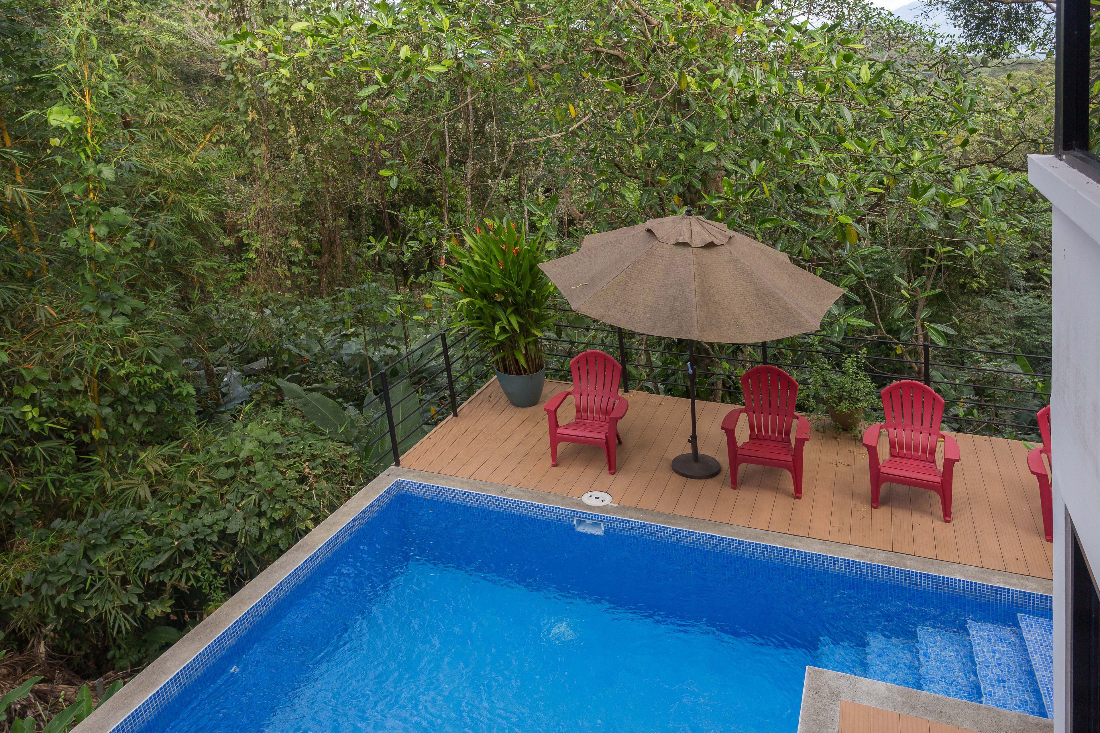 Una piscina con muelle de madera, rodeada de exuberante vegetación y sillas rojas.