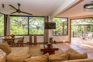 智能电视、DVD 播放器、书、音乐库