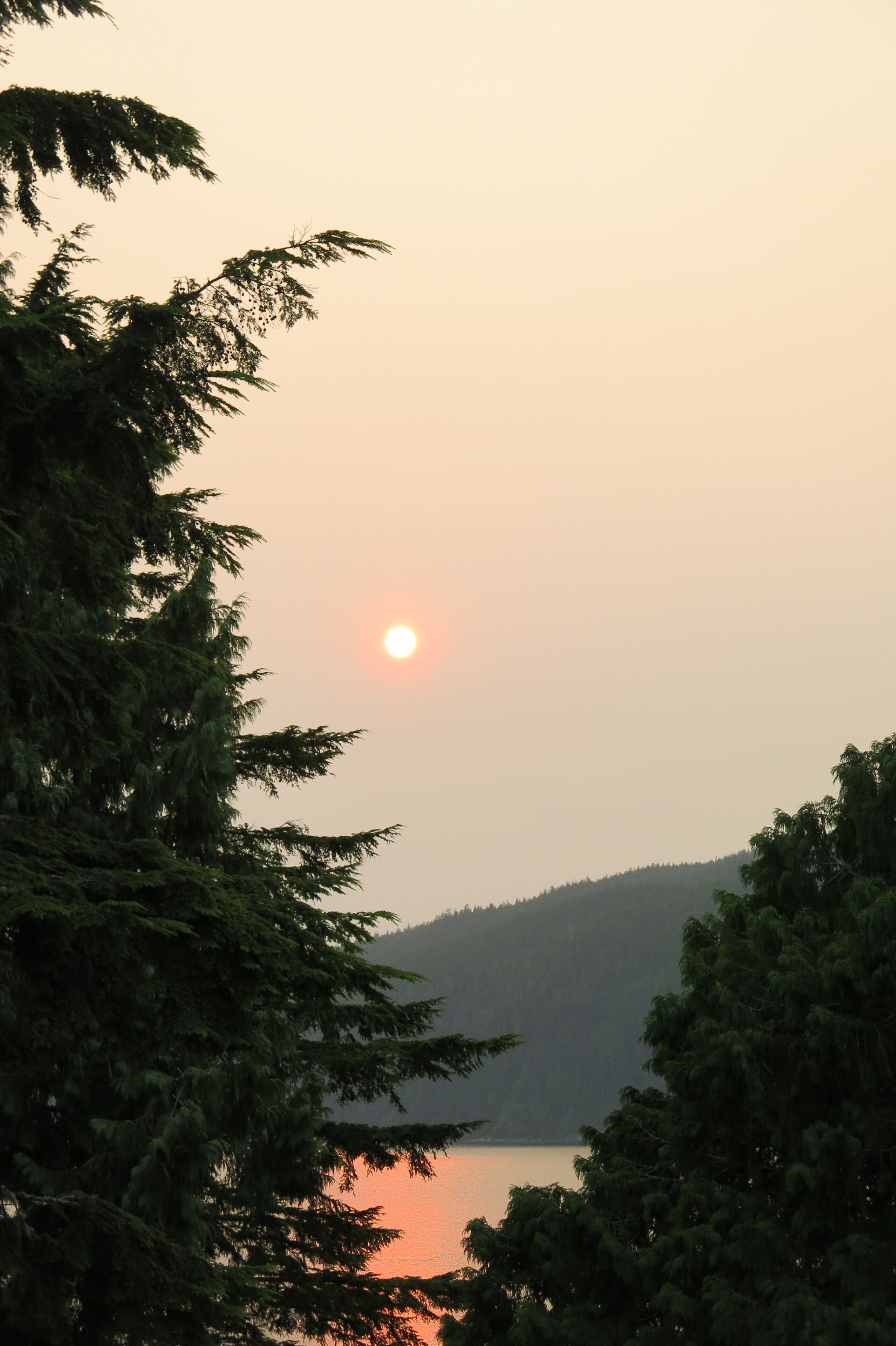 Un coucher de soleil sur un lac, avec des arbres au premier plan.