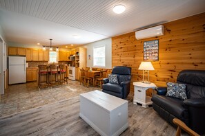 Télévision, cheminée, livres, chaîne hi-fi