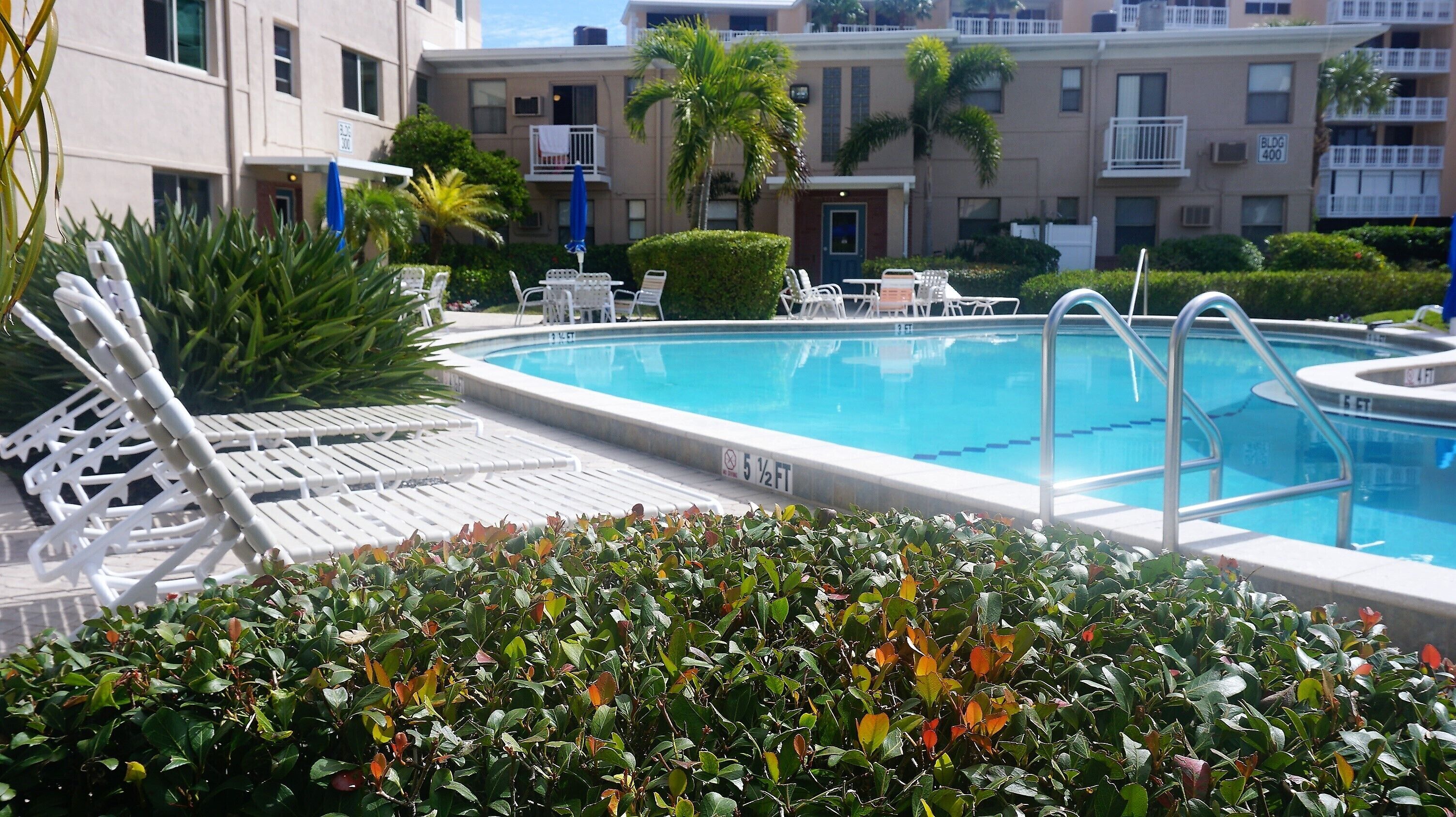 A swimming pool with lounge chairs and a hedge in the foreground.