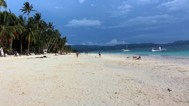 A beach with palm trees, a lifeguard tower, and boats in the water. - Blue Coral Resort Boracay (Boracay Island)