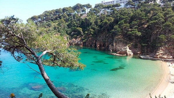 Une zone côtière caractérisée par une eau turquoise et limpide, une plage de sable et une végétation luxuriante.
