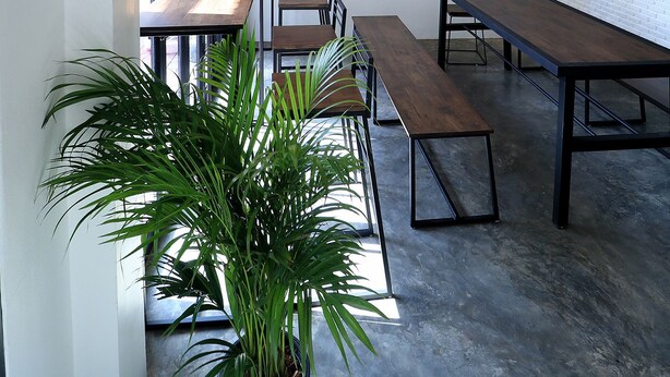 A modern interior with long tables and chairs, a large potted plant, and hanging pendant lights. - Krit Hostel (Bangkok)