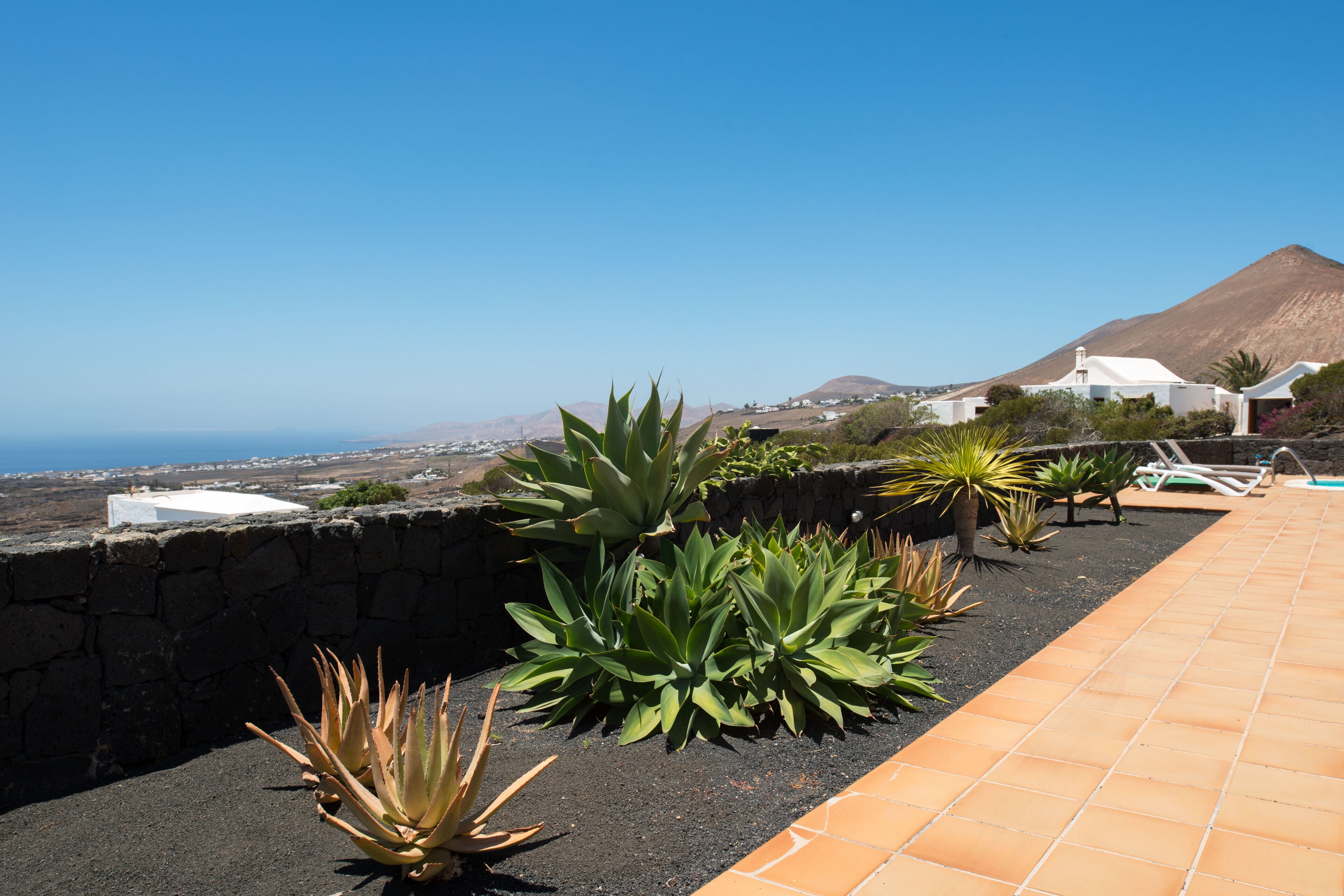 Eine Dachterrasse mit Blick auf das Meer und die Berge, mit einer Steinmauer und verschiedenen Pflanzen.