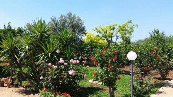 Property grounds - Villa Cristina with garden and lots of greenery. (Floridia)