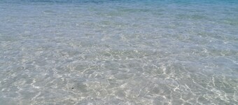 Villa Cristina with garden and lots of greenery. 