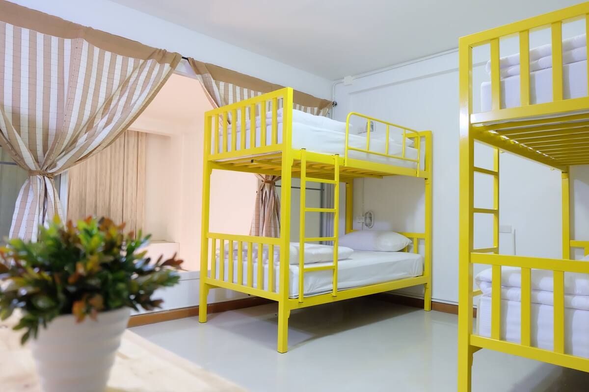 A room with two yellow bunk beds, white bedding, a potted plant, and a window with curtains.