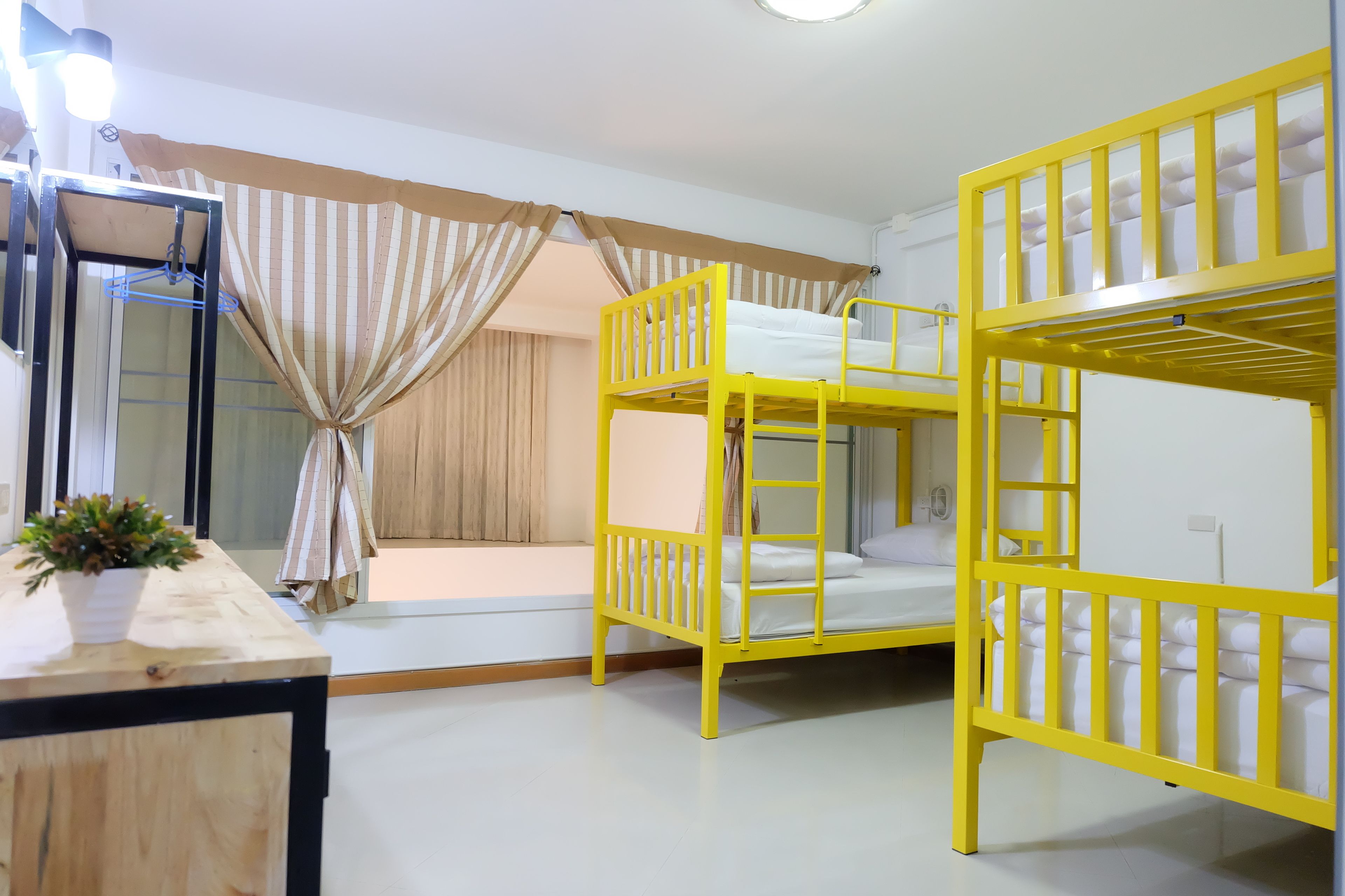 A room with bunk beds, a wooden desk with a plant, and a window with curtains.