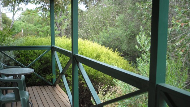 A wooden deck with a green railing, surrounded by dense greenery and trees. - Padthaway Caravan Park (Padthaway)