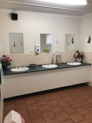 Budget Room | Bathroom amenities | Shower, free toiletries, hair dryer, towels - Padthaway Caravan Park (Padthaway)
