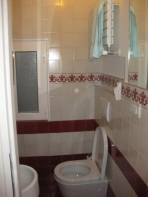 Regadera y secadora de cabello 