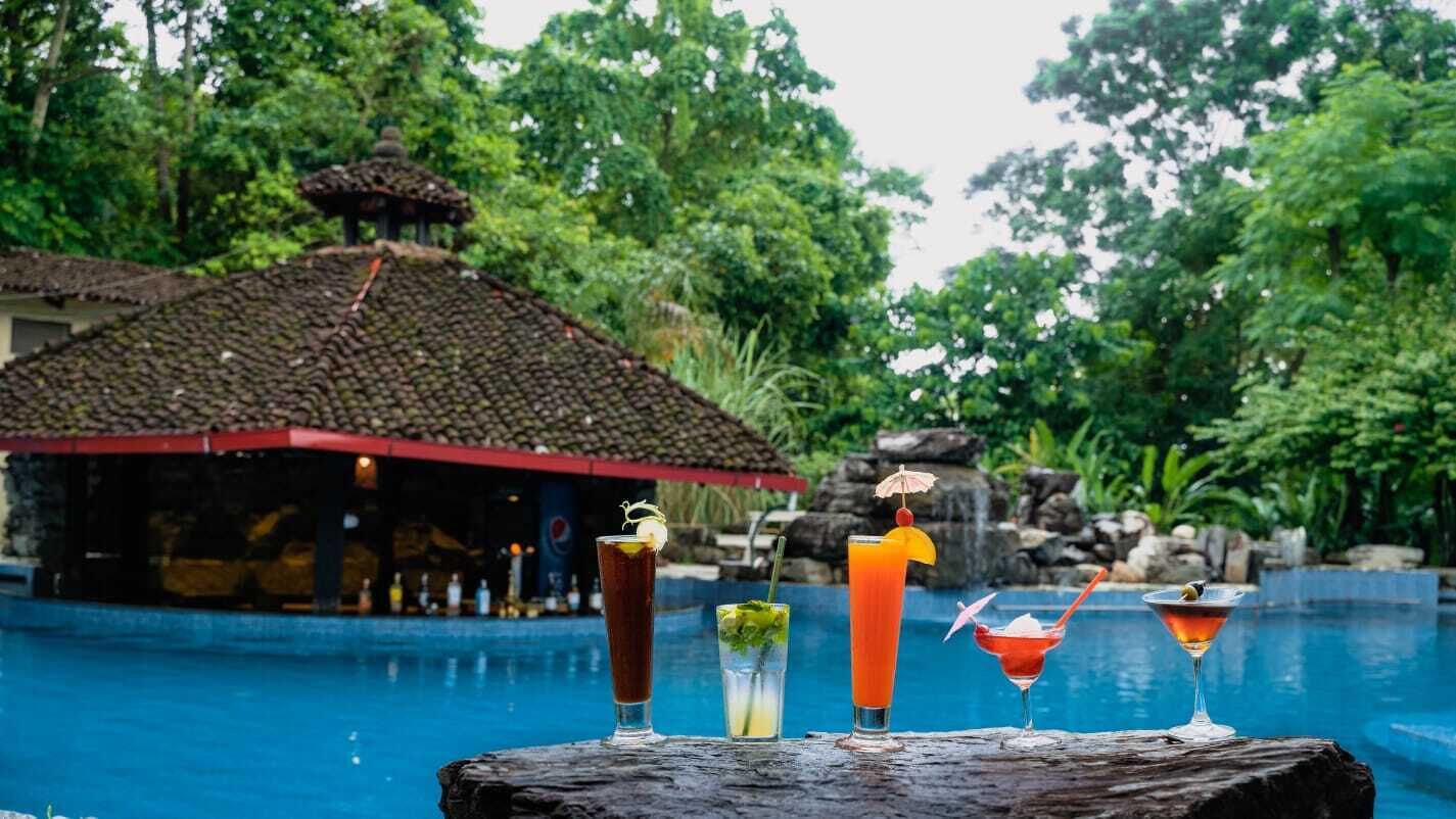 Un bar junto a la piscina con ambiente tropical, que incluye una estructura de techo de paja y abundante vegetación.