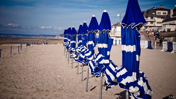 Une rangée de parasols de plage à rayures bleues et blanches sur une plage de sable, avec des bâtiments en arrière-plan.
