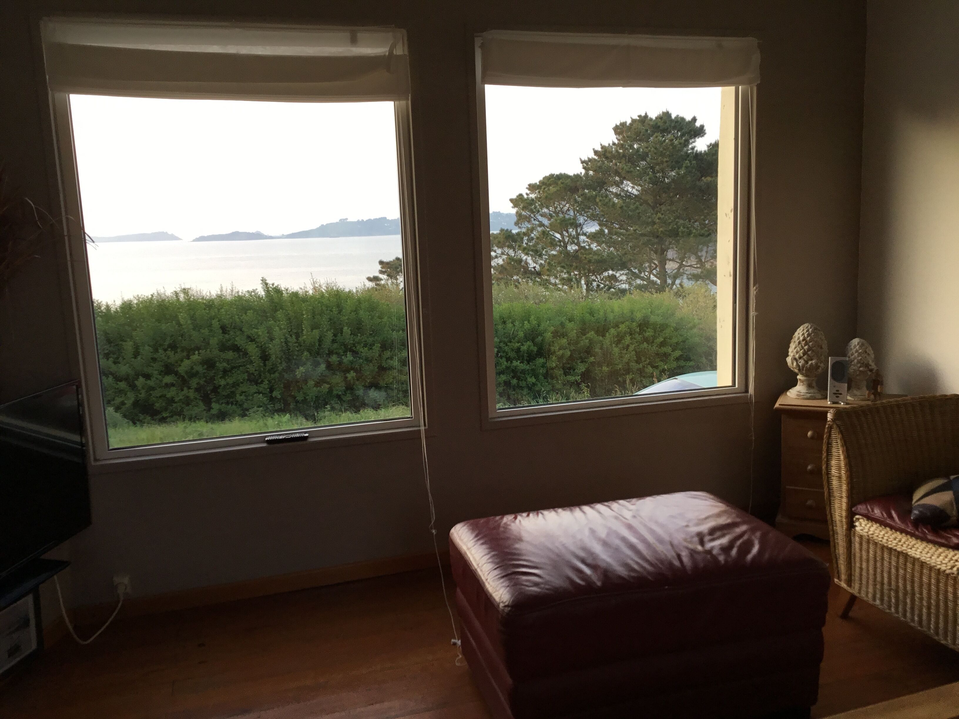 A room with two windows overlooking a body of water and greenery.