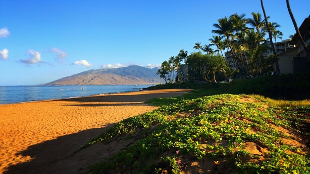 A beach with a clear view of the ocean and mountains in the distance.