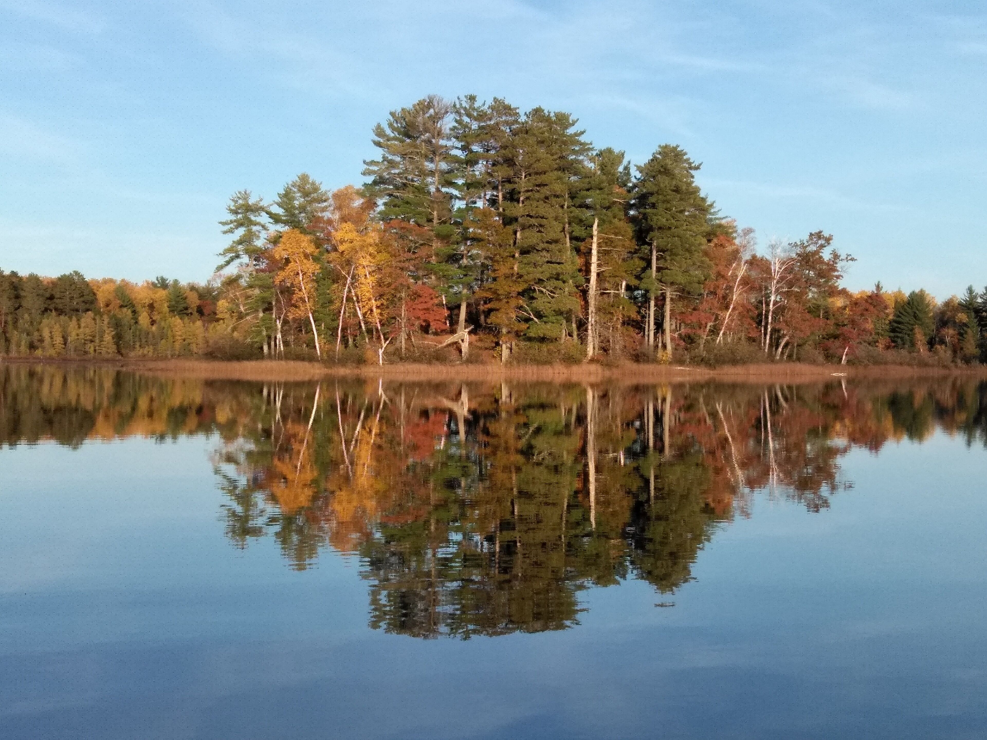 A calm lake with a reflection of trees and a clear sky.