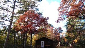 A cabin surrounded by tall trees with autumn foliage. - Fisherman's Cove Cabin on Middle Gresham Lake (Boulder Junction)
