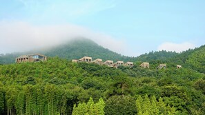 A series of wooden cabins on a hillside with dense forest.