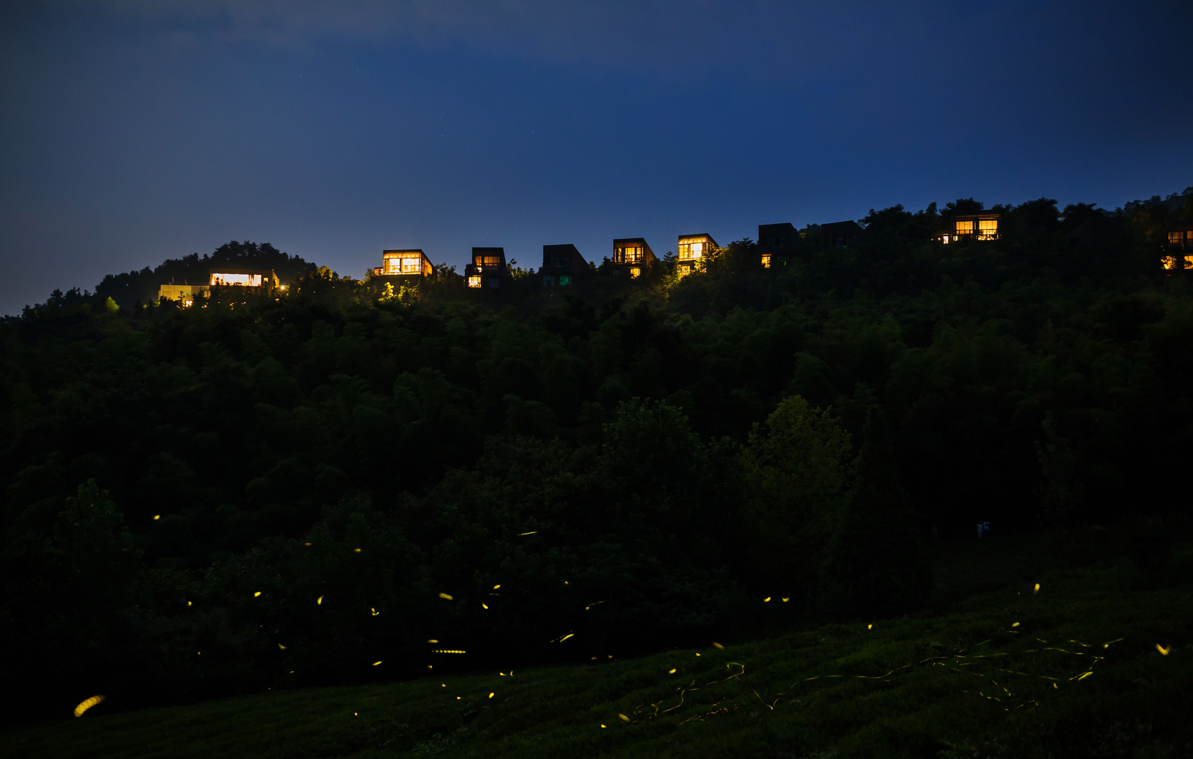 A row of houses on a hill with lights on, surrounded by trees.
