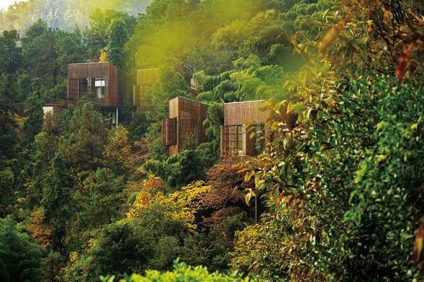 A modern, multi-story building nestled among dense foliage, with large windows and a naturalistic design.