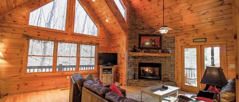 电视、壁炉、电子游戏、DVD 播放器