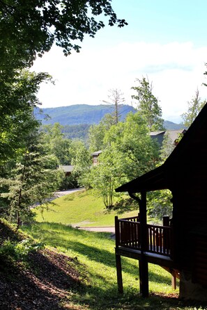 Property grounds - Amazing Location!!! Hot Tub, Pool Table, Arcade Game (Pigeon Forge)