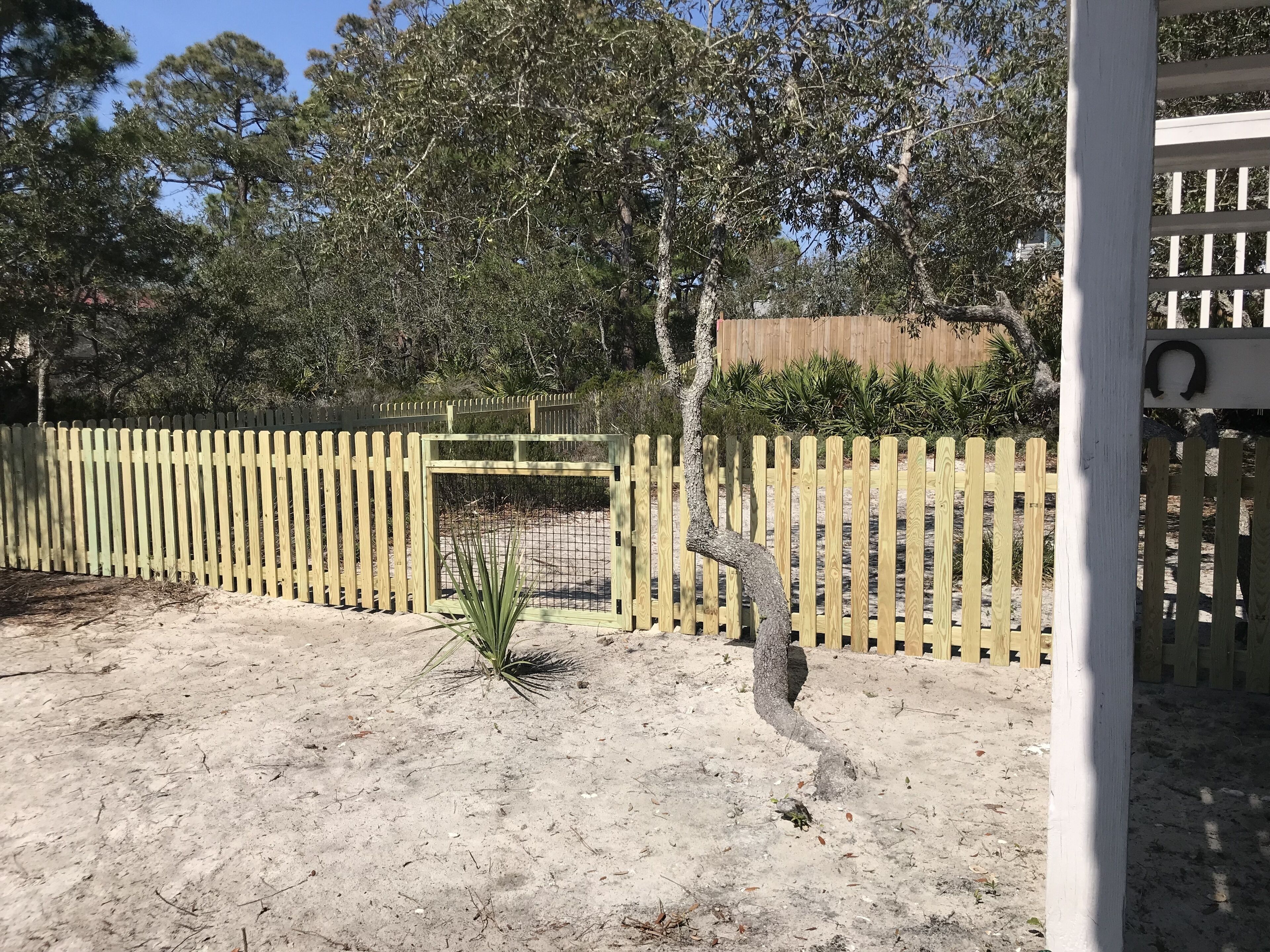 A fenced outdoor area with a sandy ground, a wooden gate, and a tree with a curved trunk.