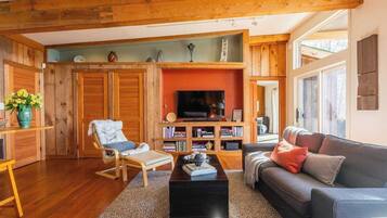 Smart-TV, Kamin, Videospiele, DVD-Player