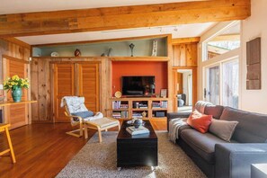 Smart TV, fireplace, video games, DVD player