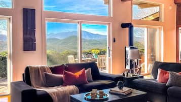 Smart TV, fireplace, video games, DVD player